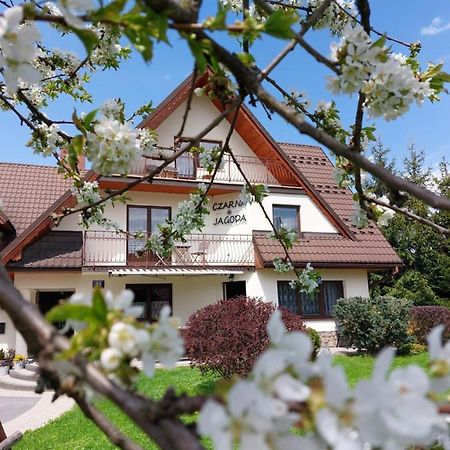 Czarna Jagoda Czarna Gora Ngoại thất bức ảnh